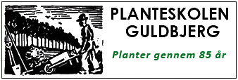 logo_2